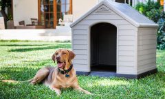 Las casas para perros más vendidas