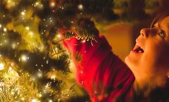 Las mejores luces de Navidad para decorar