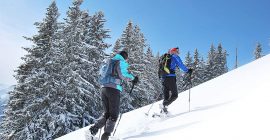 Las mejores raquetas de nieve para este invierno